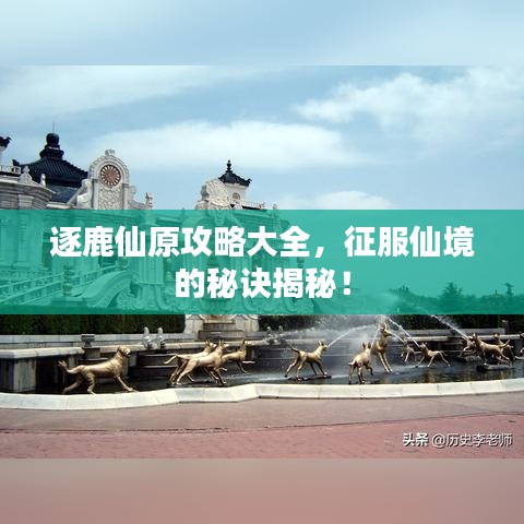 逐鹿仙原攻略大全，征服仙境的秘訣揭秘！