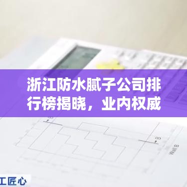 浙江防水膩子公司排行榜揭曉，業(yè)內(nèi)權(quán)威排名，優(yōu)質(zhì)企業(yè)一覽無余