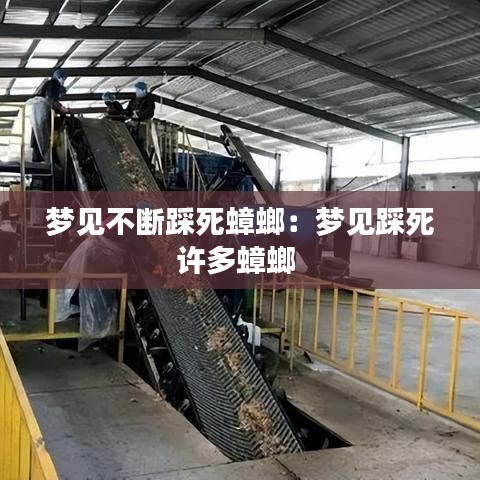 夢見不斷踩死蟑螂：夢見踩死許多蟑螂 