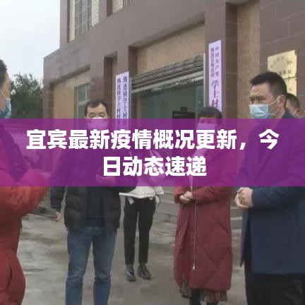 宜賓最新疫情概況更新，今日動態(tài)速遞
