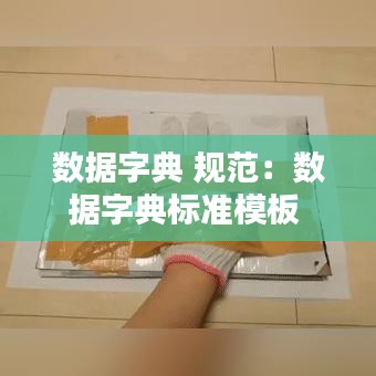 數(shù)據(jù)字典 規(guī)范：數(shù)據(jù)字典標(biāo)準(zhǔn)模板 