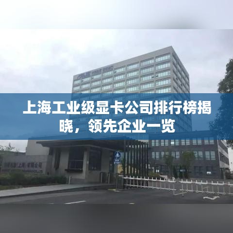 上海工業(yè)級(jí)顯卡公司排行榜揭曉，領(lǐng)先企業(yè)一覽