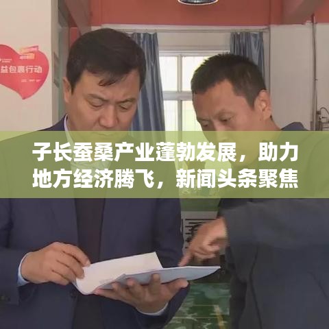 子長蠶桑產(chǎn)業(yè)蓬勃發(fā)展，助力地方經(jīng)濟(jì)騰飛，新聞?lì)^條聚焦蠶桑產(chǎn)業(yè)新動(dòng)態(tài)