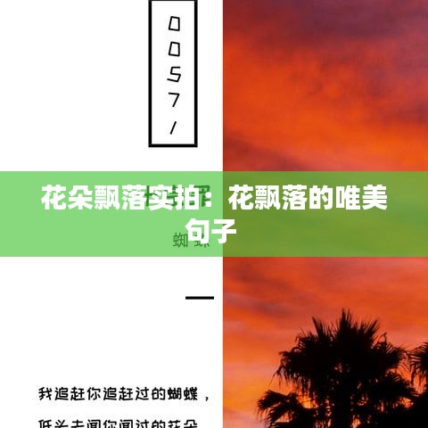 花朵飄落實(shí)拍：花飄落的唯美句子 