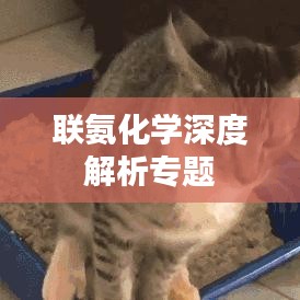 聯(lián)氨化學(xué)深度解析專(zhuān)題