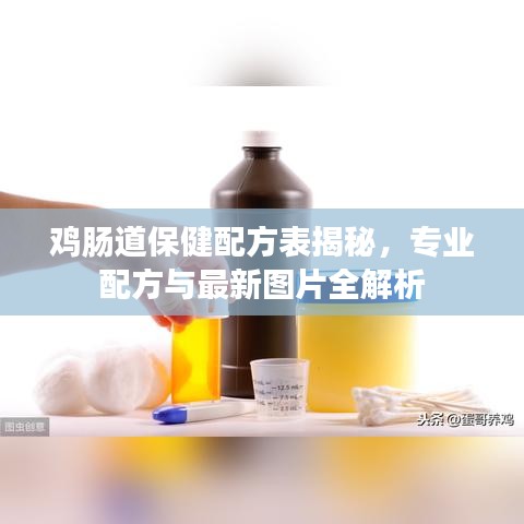 雞腸道保健配方表揭秘，專業(yè)配方與最新圖片全解析