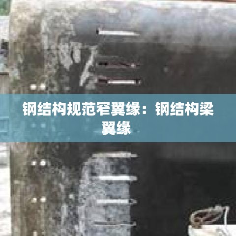 鋼結(jié)構(gòu)規(guī)范窄翼緣：鋼結(jié)構(gòu)梁翼緣 