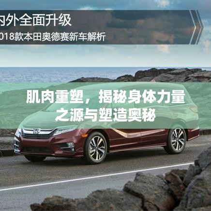 肌肉重塑，揭秘身體力量之源與塑造奧秘