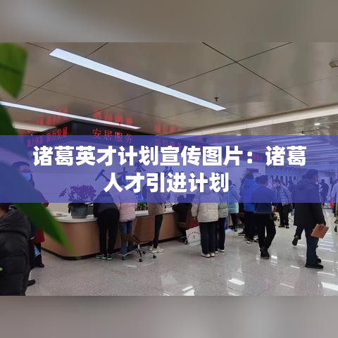 諸葛英才計劃宣傳圖片：諸葛人才引進計劃 
