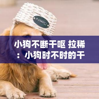 小狗不斷干嘔 拉?。盒」窌r不時的干嘔但吃喝拉撒正常 