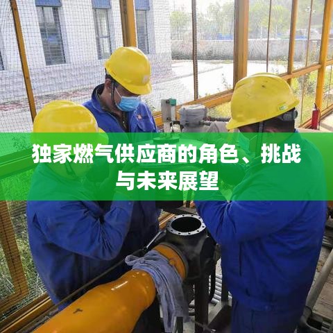 獨(dú)家燃?xì)夤?yīng)商的角色、挑戰(zhàn)與未來展望