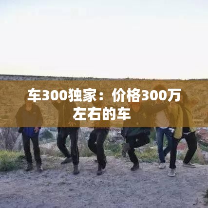 車300獨家：價格300萬左右的車 