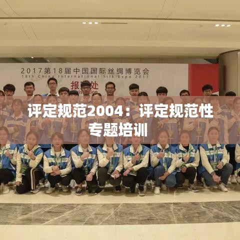 評定規(guī)范2004：評定規(guī)范性專題培訓(xùn) 