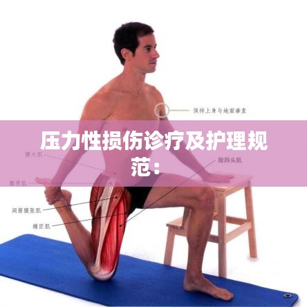 壓力性損傷診療及護理規(guī)范： 