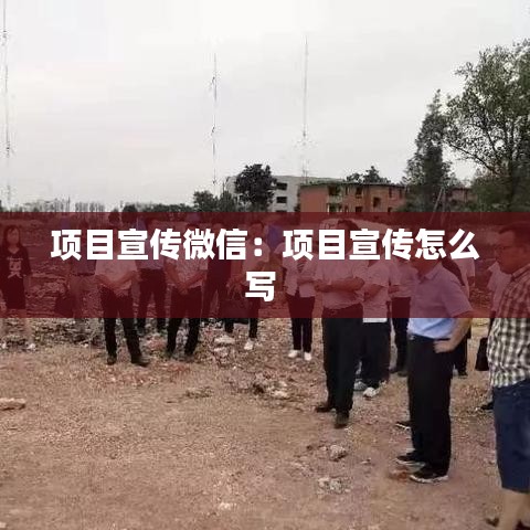 項目宣傳微信：項目宣傳怎么寫 