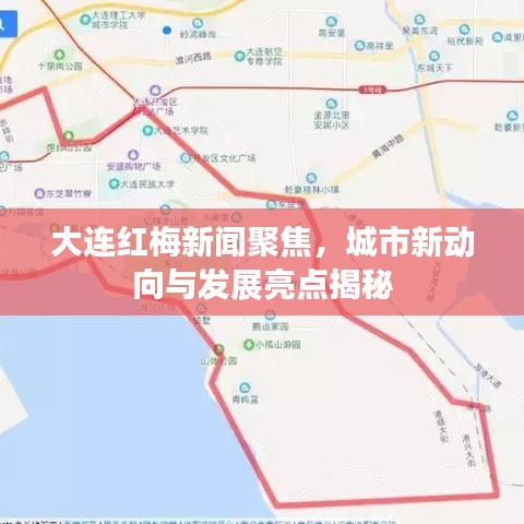 大連紅梅新聞聚焦，城市新動向與發(fā)展亮點(diǎn)揭秘