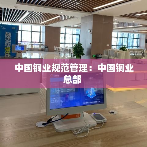 中國銅業(yè)規(guī)范管理：中國銅業(yè)總部 