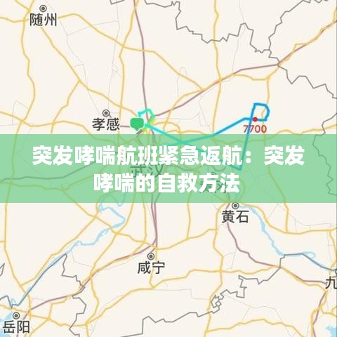 突發(fā)哮喘航班緊急返航：突發(fā)哮喘的自救方法 