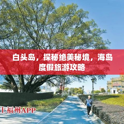 白頭島，探秘絕美秘境，海島度假旅游攻略