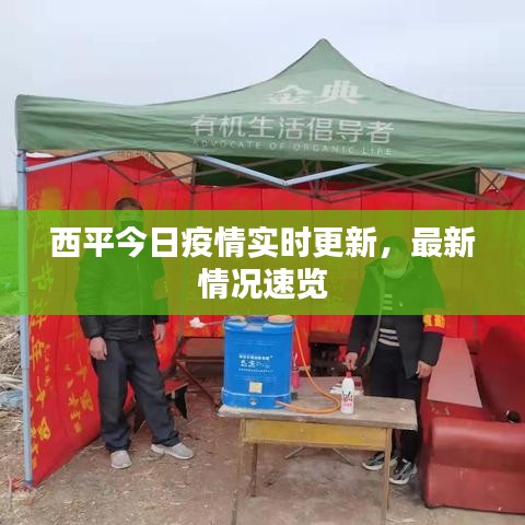 西平今日疫情實(shí)時(shí)更新，最新情況速覽