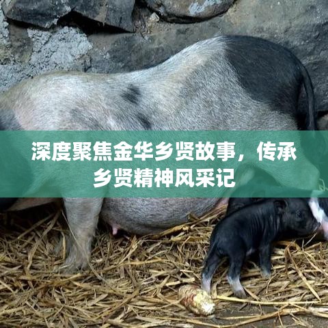 深度聚焦金華鄉(xiāng)賢故事，傳承鄉(xiāng)賢精神風采記