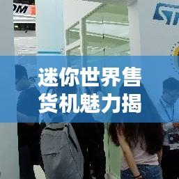 迷你世界售貨機(jī)魅力揭秘，排名與探索微型售貨機(jī)的無限魅力