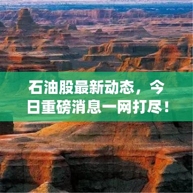 石油股最新動(dòng)態(tài)，今日重磅消息一網(wǎng)打盡！