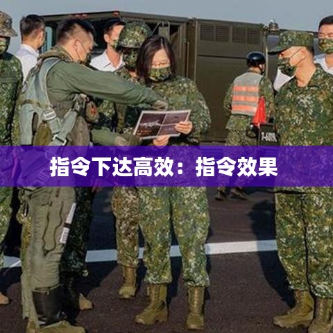 指令下達(dá)高效：指令效果 