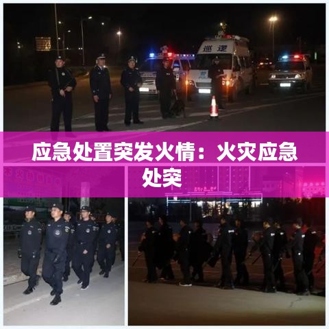 應急處置突發(fā)火情：火災應急處突 