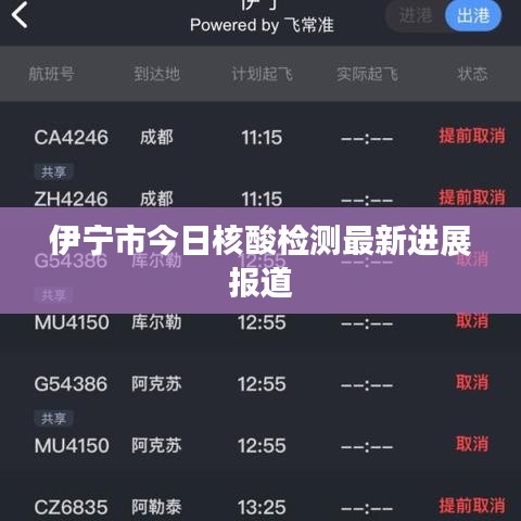 伊寧市今日核酸檢測最新進(jìn)展報(bào)道