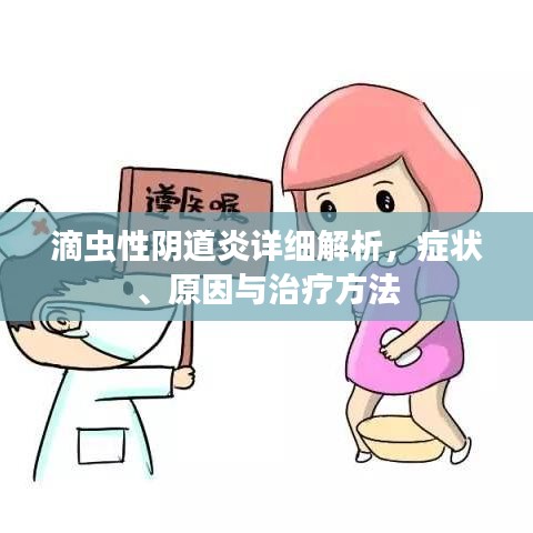 滴蟲性陰道炎詳細(xì)解析，癥狀、原因與治療方法