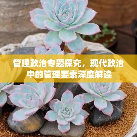 管理政治專題探究，現(xiàn)代政治中的管理要素深度解讀