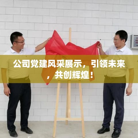 公司黨建風(fēng)采展示，引領(lǐng)未來(lái)，共創(chuàng)輝煌！