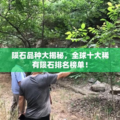 隕石品種大揭秘，全球十大稀有隕石排名榜單！