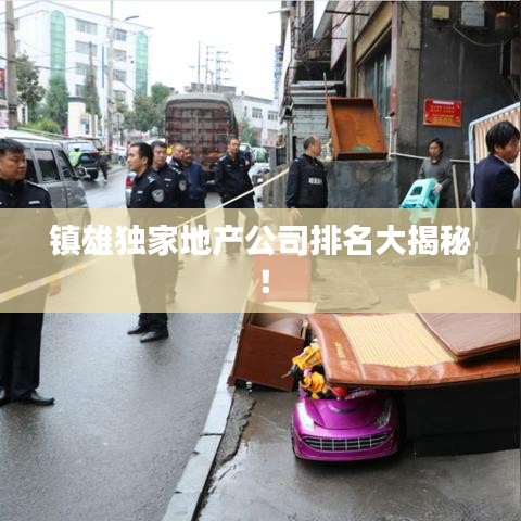 鎮(zhèn)雄獨(dú)家地產(chǎn)公司排名大揭秘！