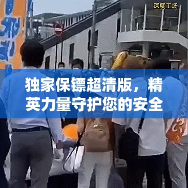 獨(dú)家保鏢超清版，精英力量守護(hù)您的安全