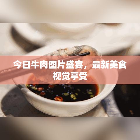 今日牛肉圖片盛宴，最新美食視覺享受
