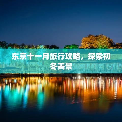 東京十一月旅行攻略，探索初冬美景