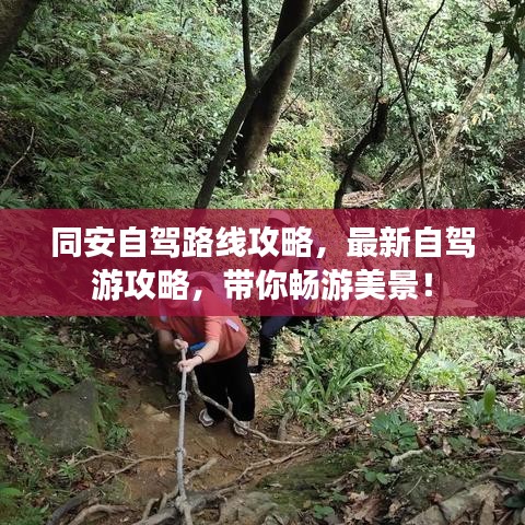 同安自駕路線攻略，最新自駕游攻略，帶你暢游美景！