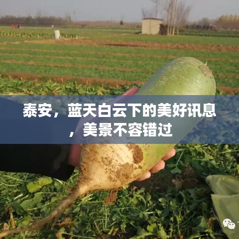 泰安，藍天白云下的美好訊息，美景不容錯過