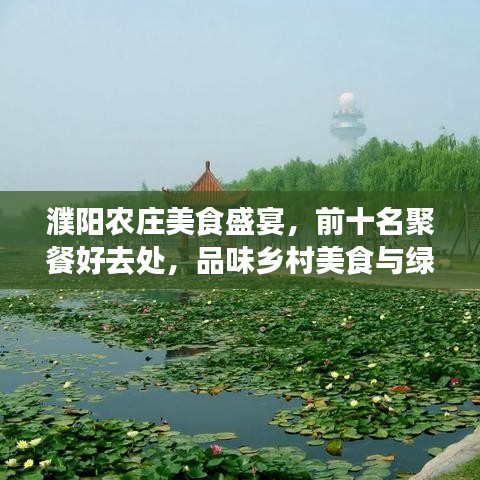 濮陽農(nóng)莊美食盛宴，前十名聚餐好去處，品味鄉(xiāng)村美食與綠意盎然之旅