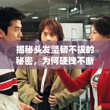 揭秘頭發(fā)堅韌不拔的秘密，為何硬拽不斷？