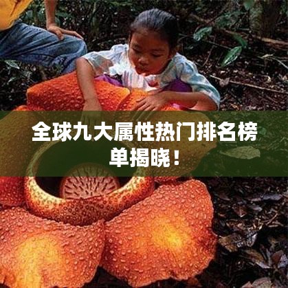 全球九大屬性熱門排名榜單揭曉！