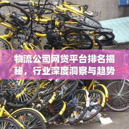 物流公司網(wǎng)貸平臺(tái)排名揭秘，行業(yè)深度洞察與趨勢(shì)展望