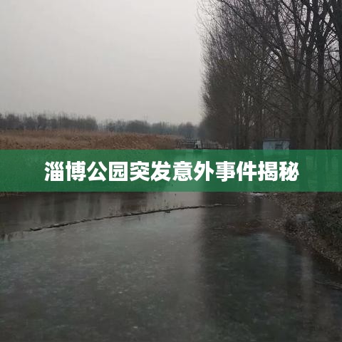 淄博公園突發(fā)意外事件揭秘