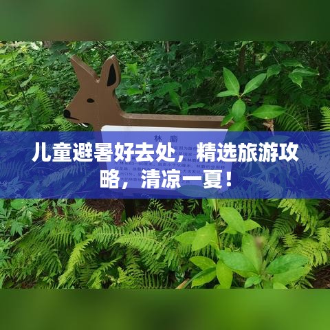 兒童避暑好去處，精選旅游攻略，清涼一夏！