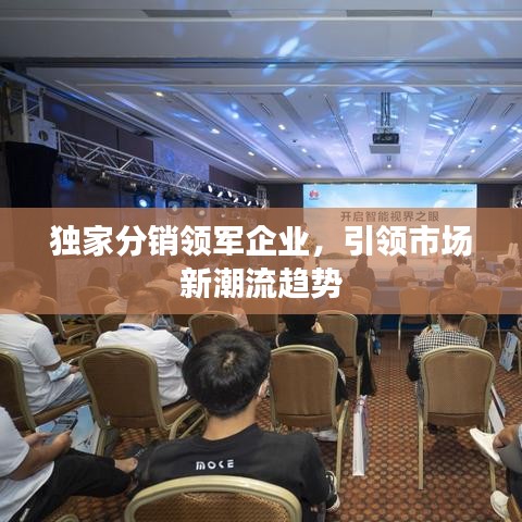 獨(dú)家分銷(xiāo)領(lǐng)軍企業(yè)，引領(lǐng)市場(chǎng)新潮流趨勢(shì)