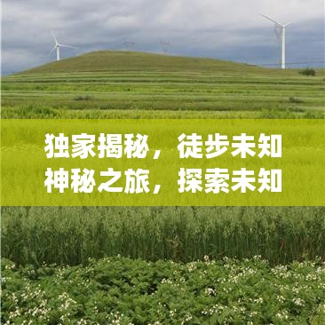 射飛逐走 第3頁(yè)