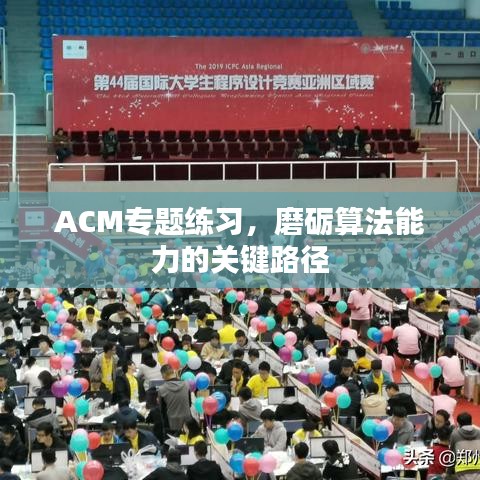 ACM專題練習(xí)，磨礪算法能力的關(guān)鍵路徑