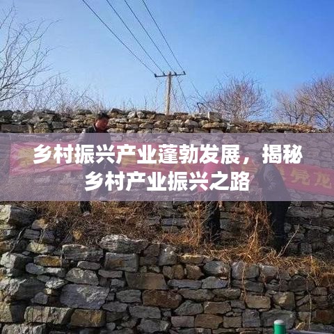 鄉(xiāng)村振興產(chǎn)業(yè)蓬勃發(fā)展，揭秘鄉(xiāng)村產(chǎn)業(yè)振興之路